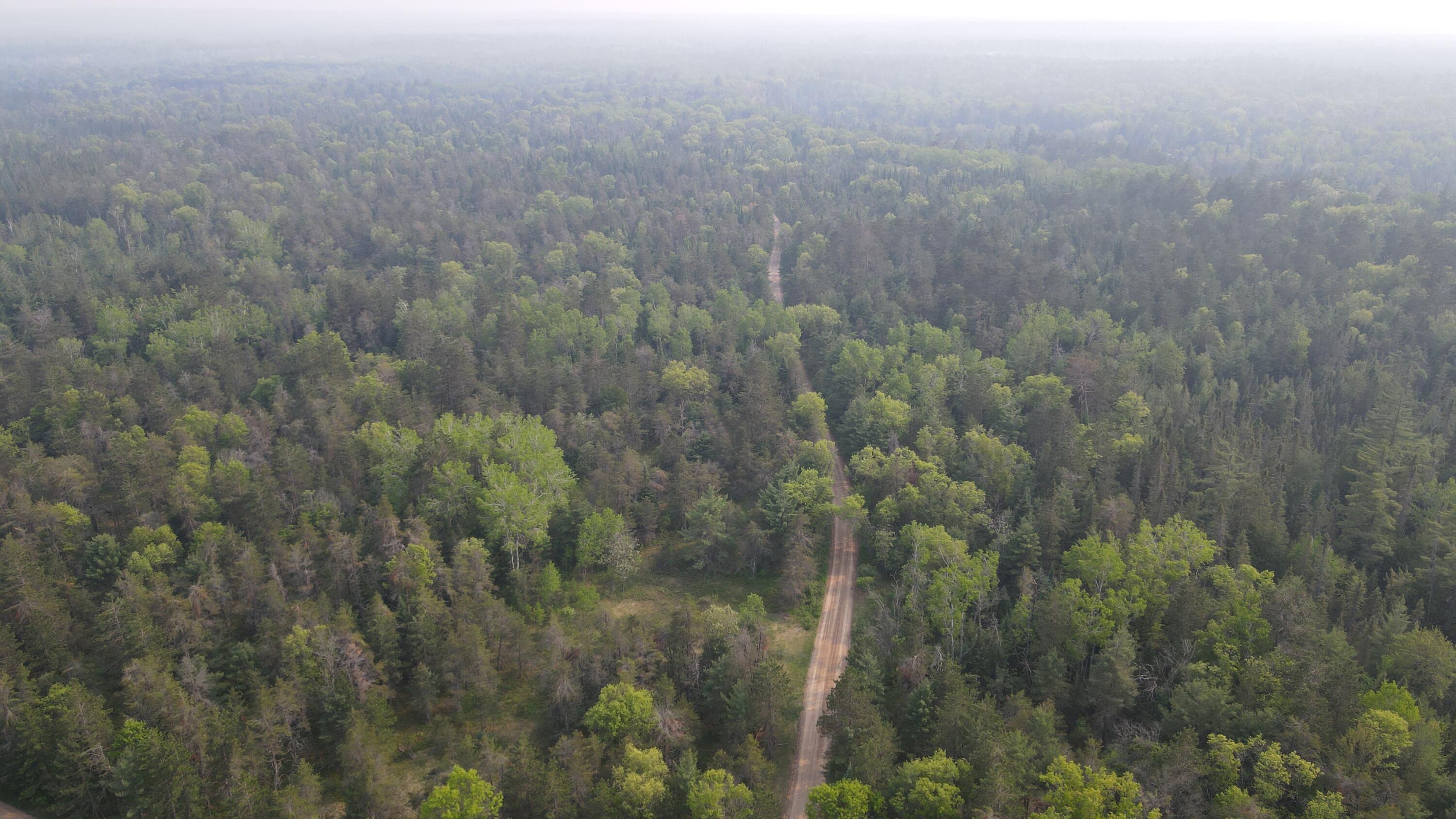 Parcel C Cherry Creek Road Grayling, MI 49738 - Photo 4 of 18 DJI_0942