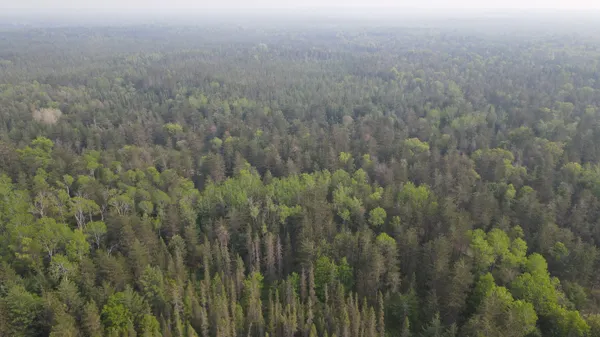 $139,900 | Parcel C Cherry Creek Road, Grayling, MI 49738
