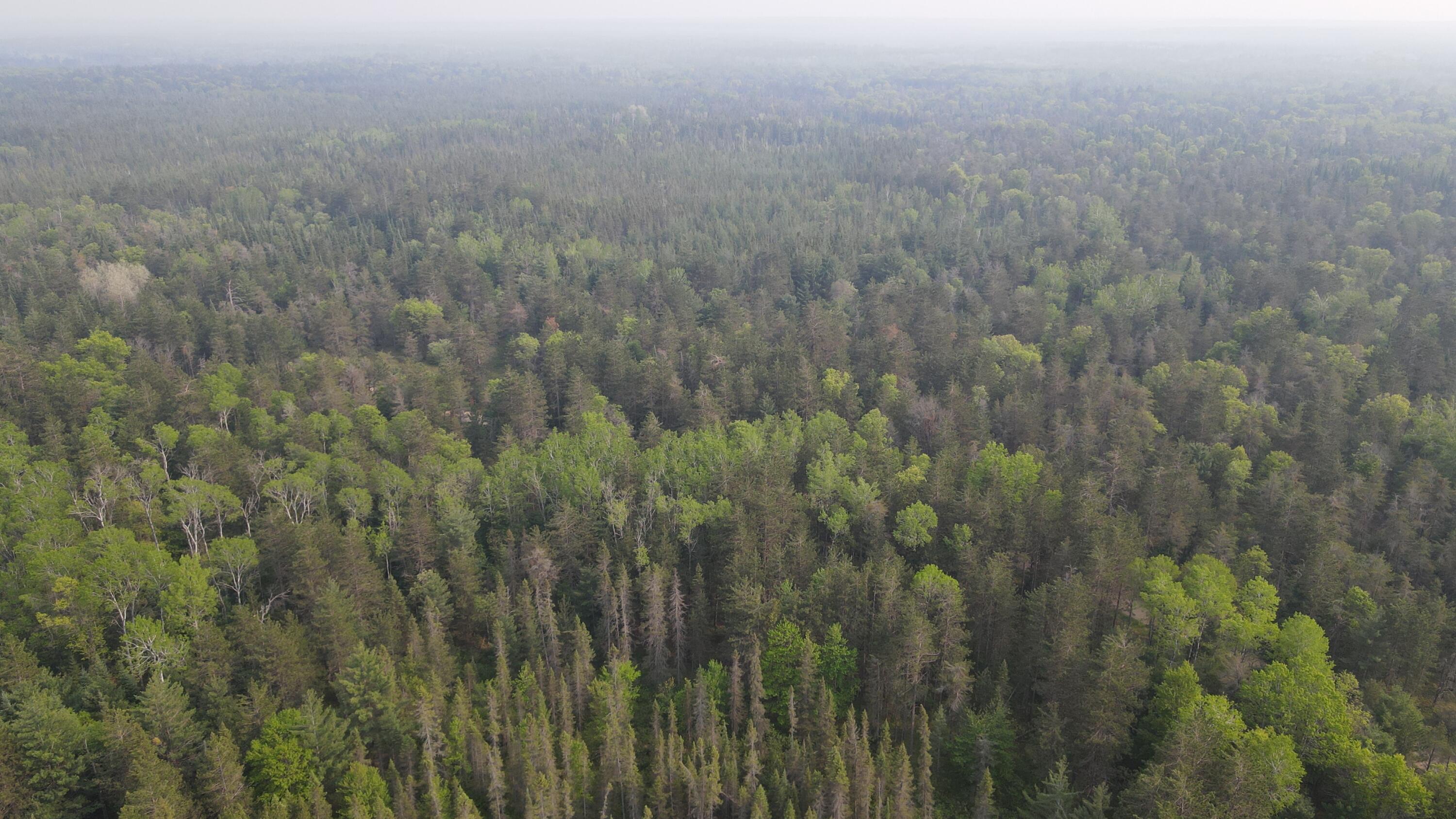 Parcel C Cherry Creek Road Grayling, MI 49738 - Photo 5 of 18 DJI_0945