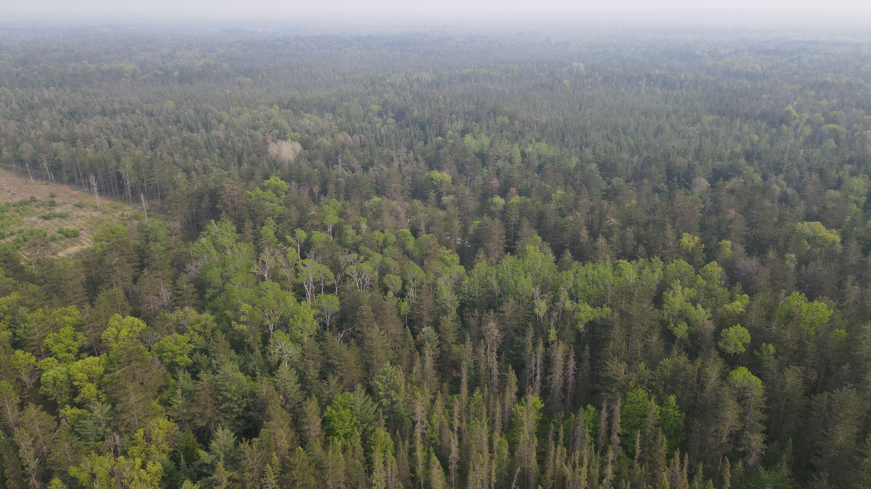 Parcel C Cherry Creek Road Grayling, MI 49738 - Photo 6 of 18 DJI_0946