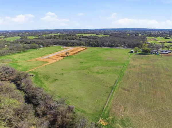 a view of yard with grass and trees