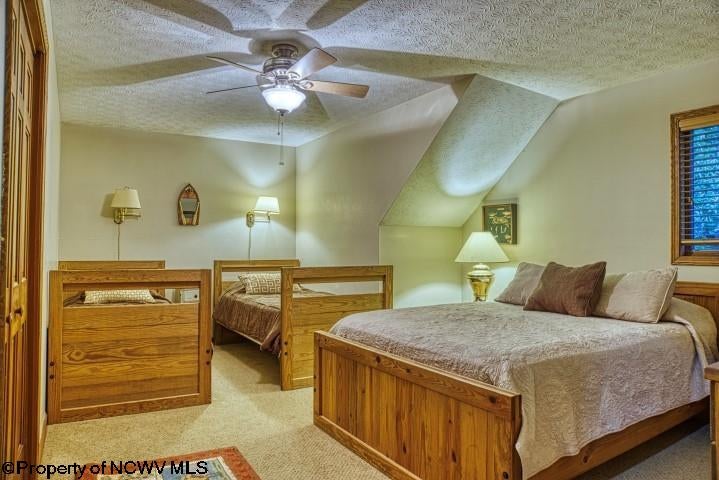 33 Brookside Road Davis, WV 26260 - Photo 17 of 20 Gallery Image 17