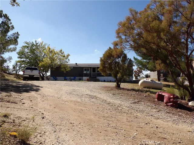 a view of a park with large trees