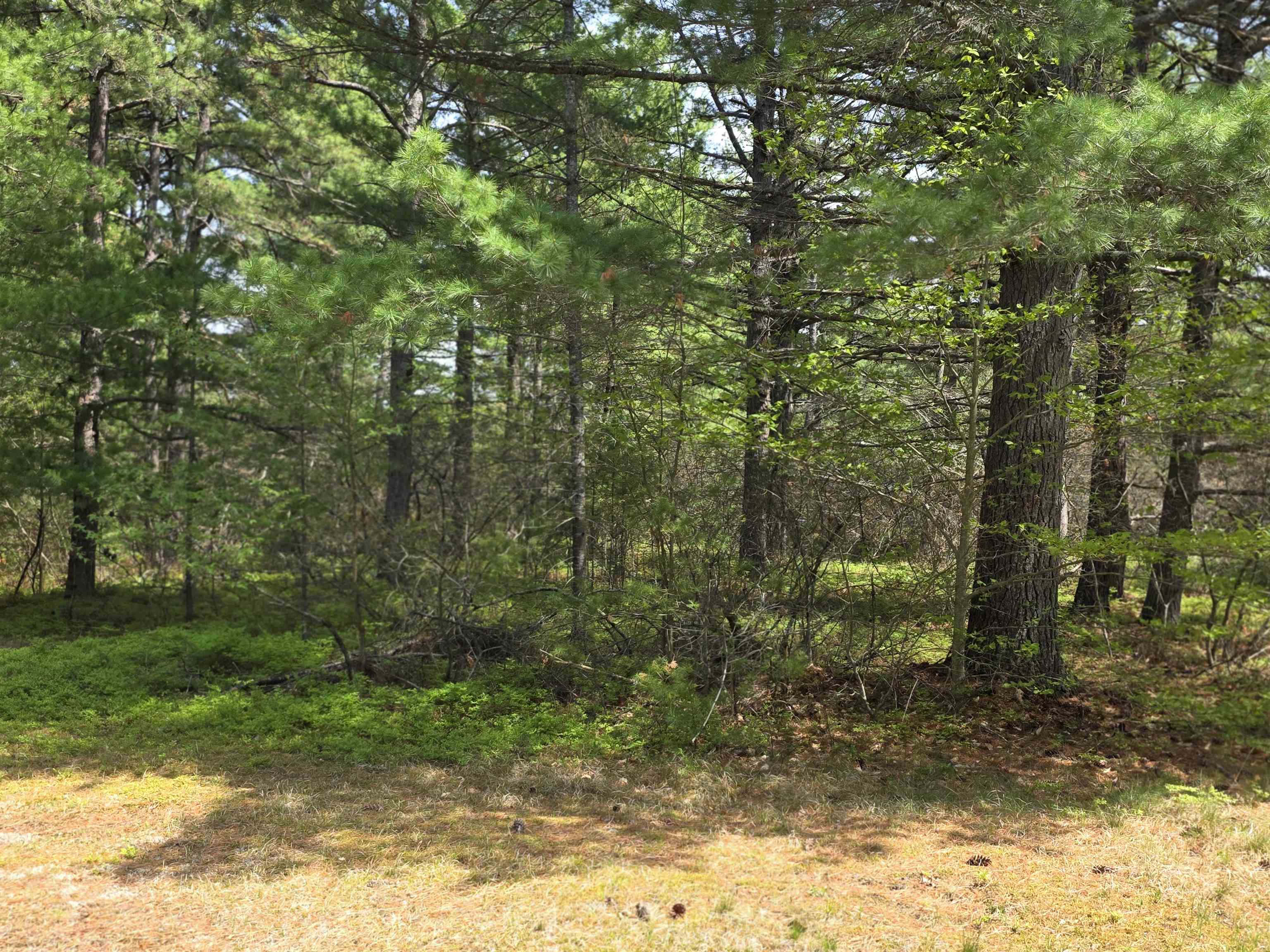23 Logan Way Center Ossipee, NH 03814 - Photo 3 of 24
