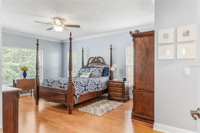 a white house that has a tree in front of it