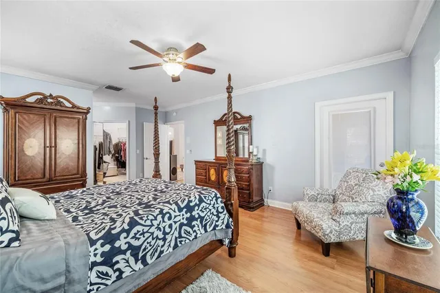 a view of a big yard with plants and large trees