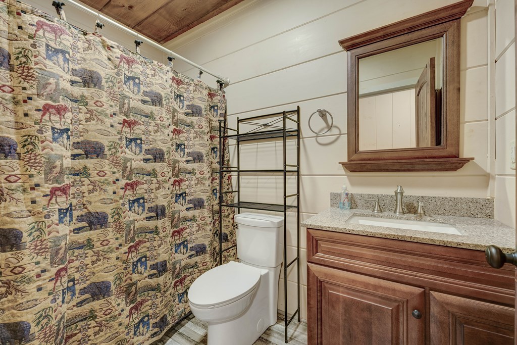 1070 Maggie Chapman Road Blue Ridge, GA 30513 - Photo 31 of 47 Gallery Image 31