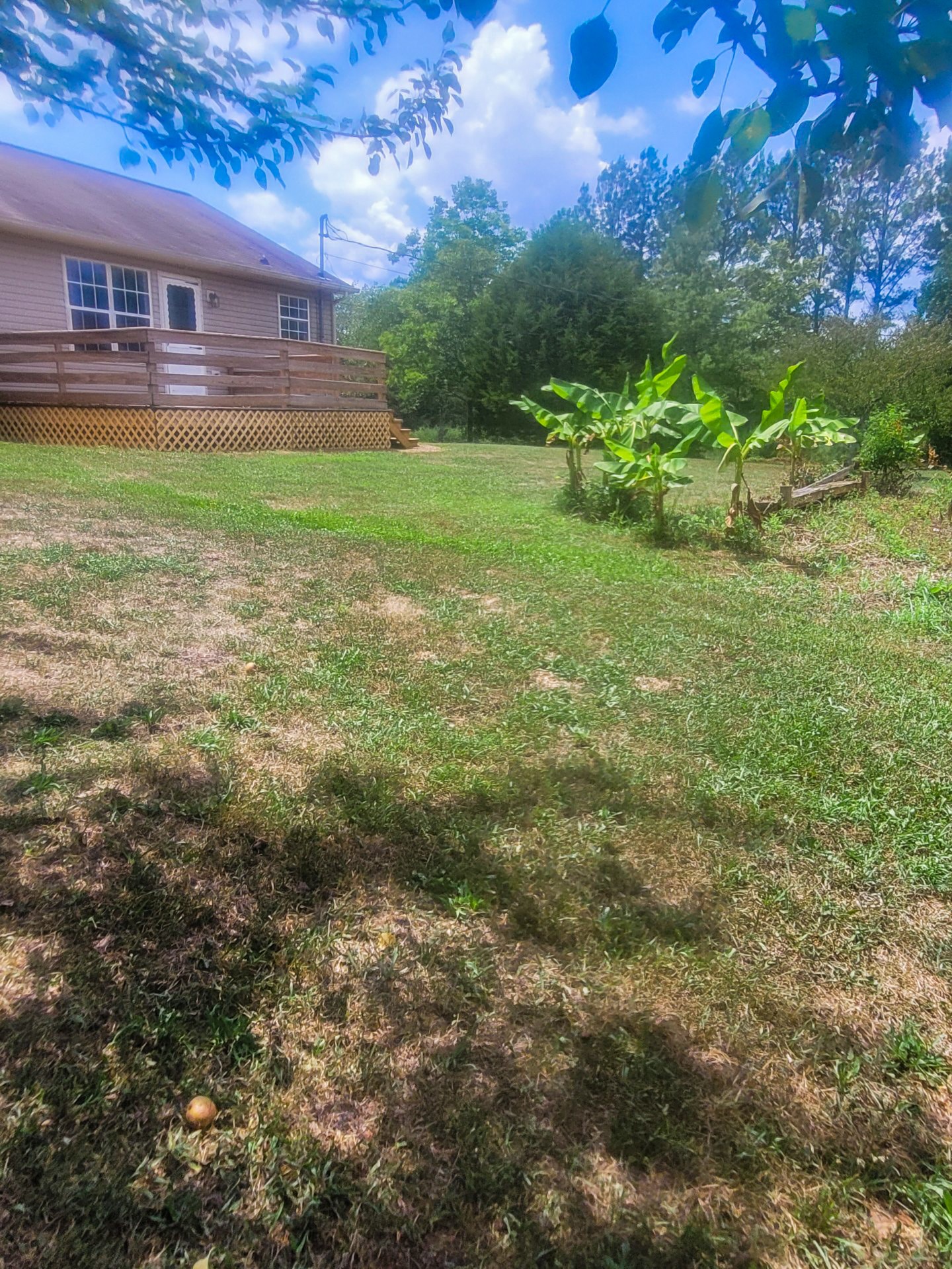 4370 Hardison Mill Road Columbia, TN 38401 - Photo 5 of 37 a view of a house with a backyard