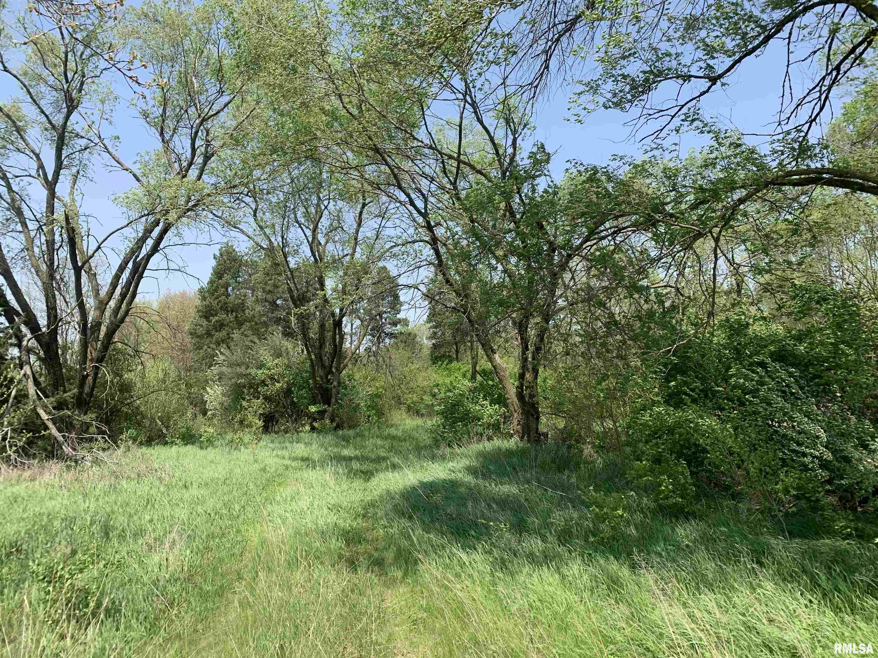 0 Desutter Road Manito, IL 61546 - Photo 2 of 3 Gallery Image 2