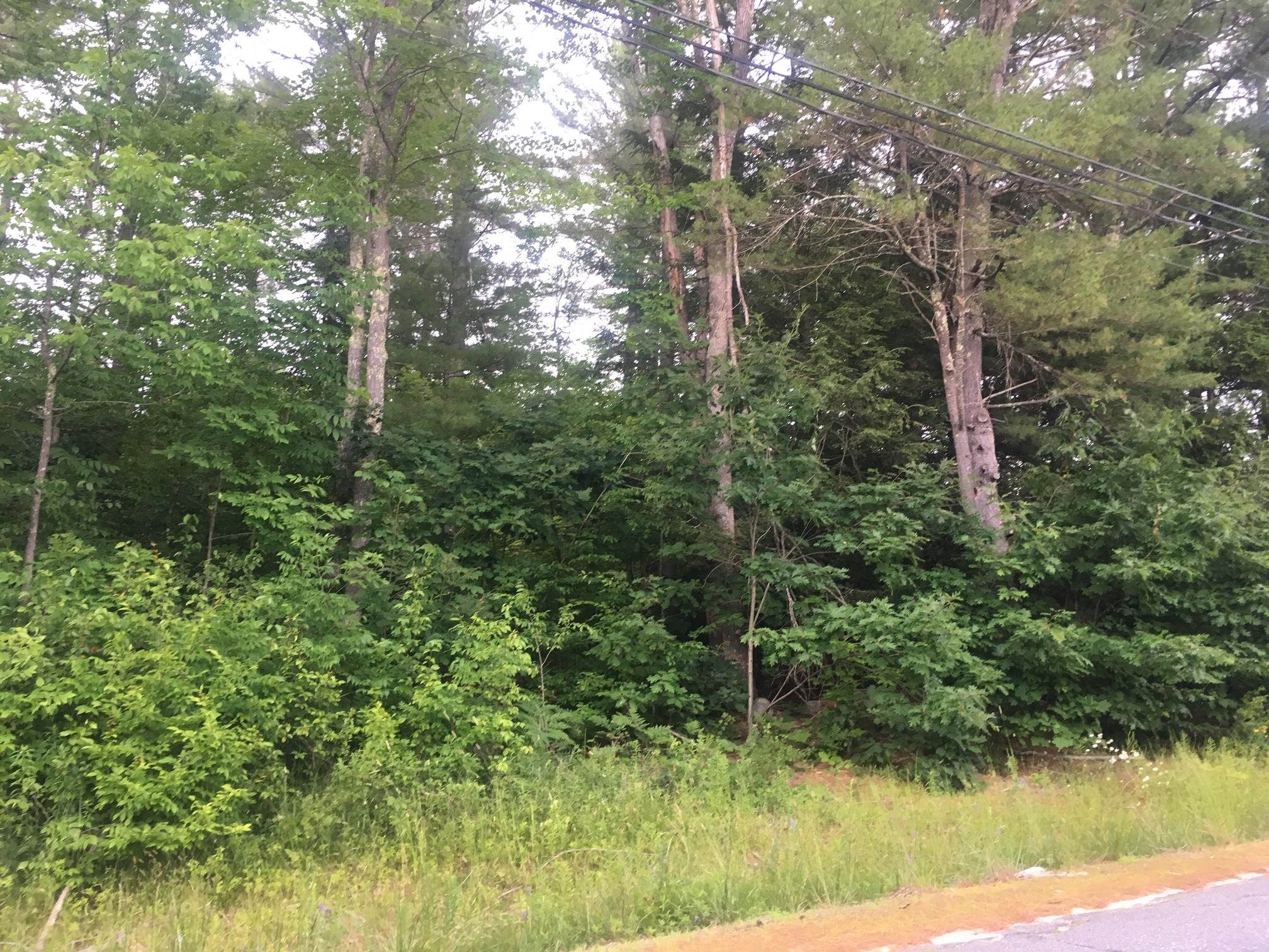 0 No Name Pond Road Lewiston, ME 04240 - Photo 2 of 4 IMG_6899