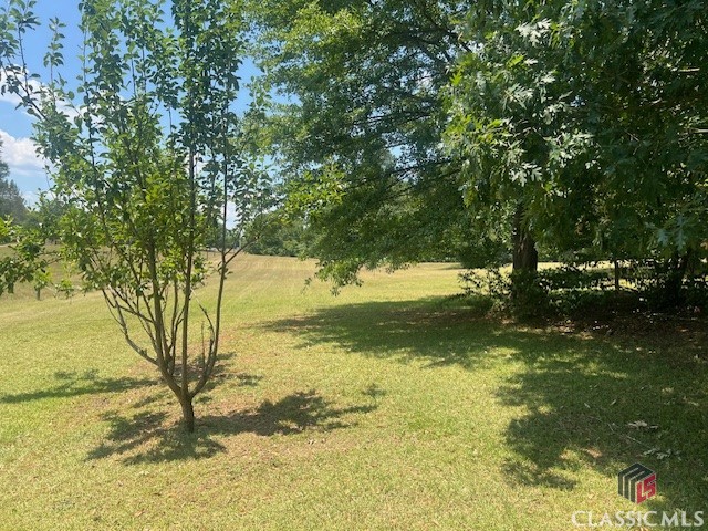 3355 Jack Glass Road Monroe, GA 30656 - Photo 12 of 41 YARD VIEW