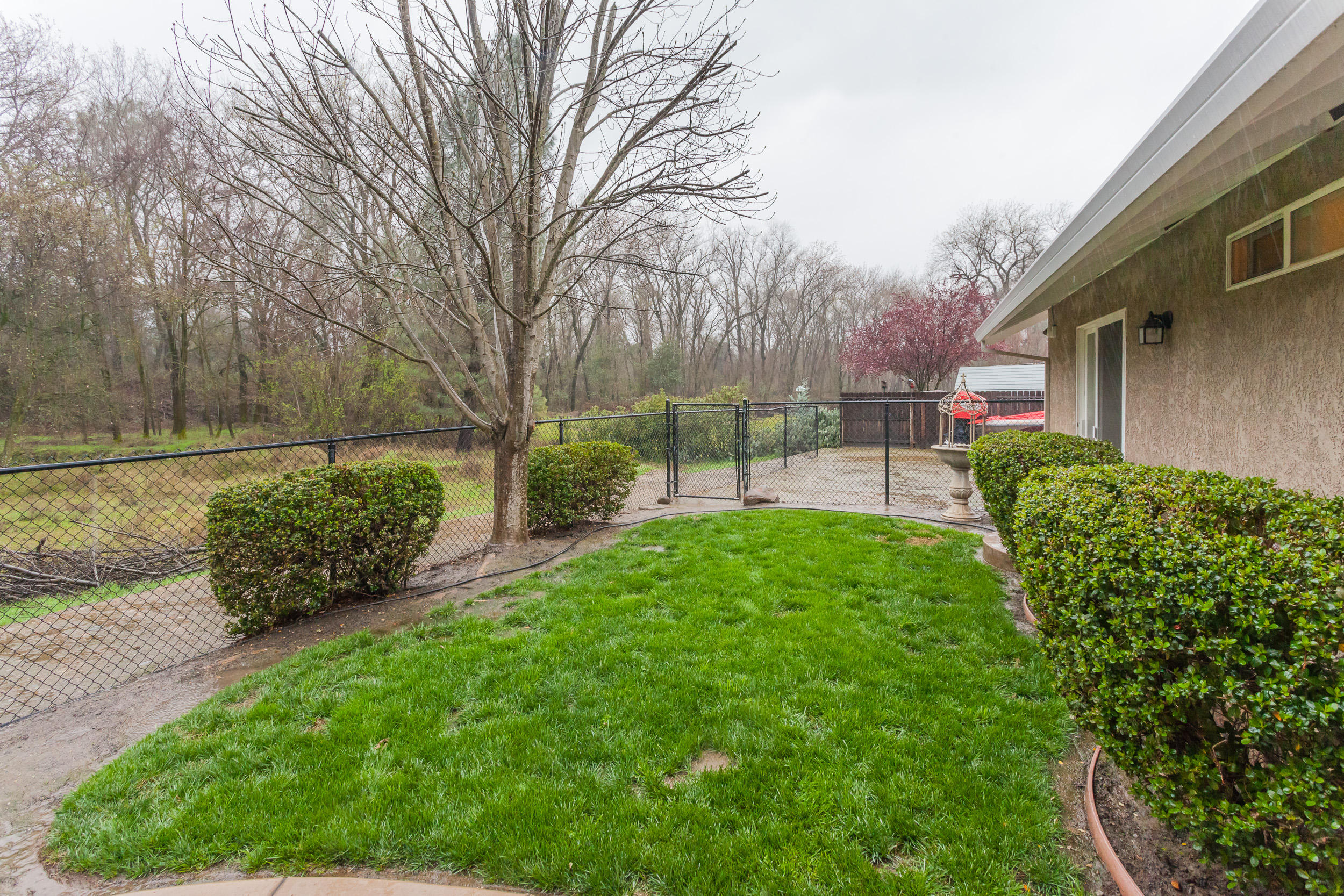 7740 Pit Road Redding, CA 96001 - Photo 22 of 23 a view of a backyard with garden