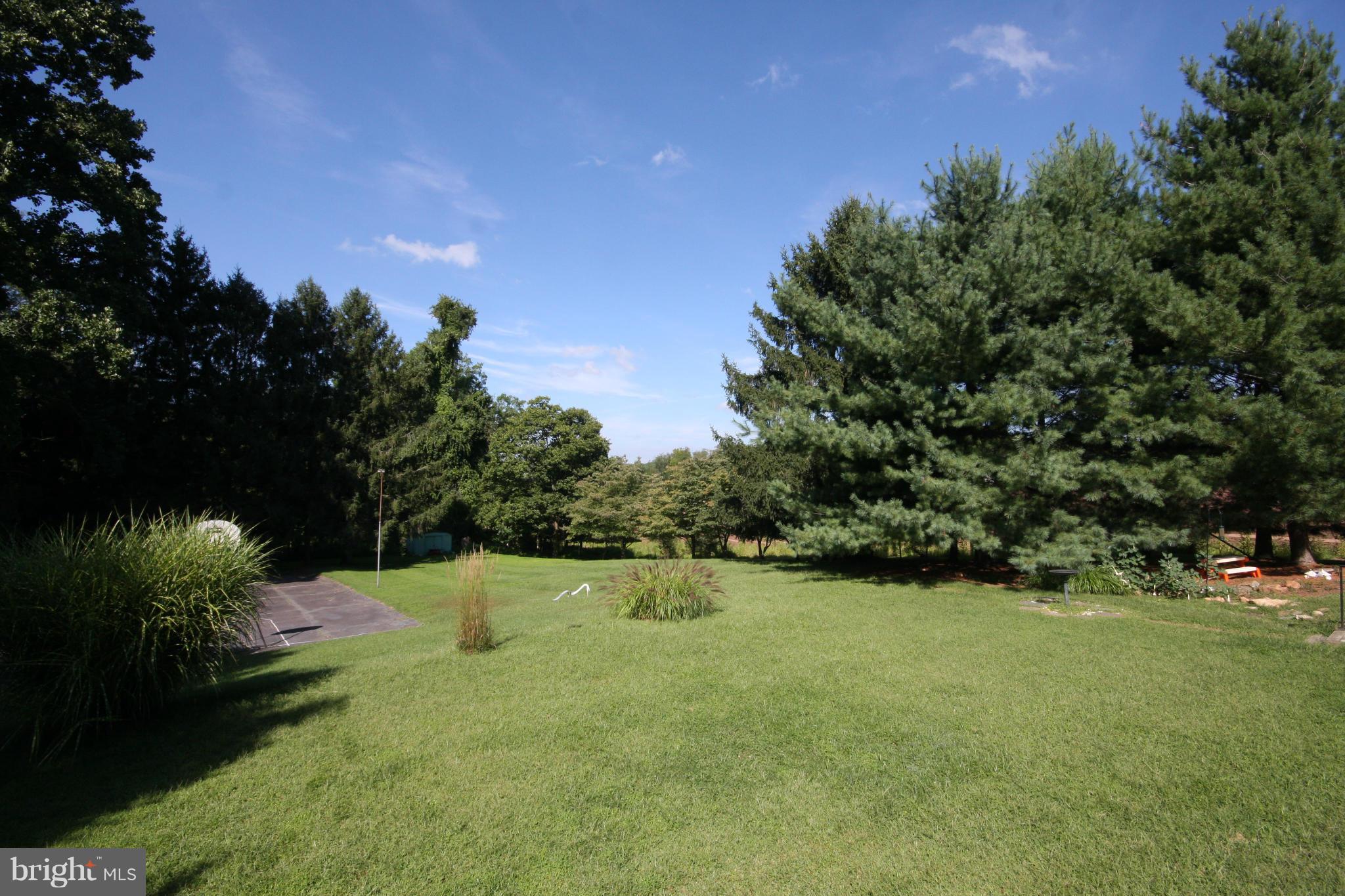 14014 Notley Road Silver Spring, MD 20904 - Photo 26 of 30 a view of yard with grass & trees