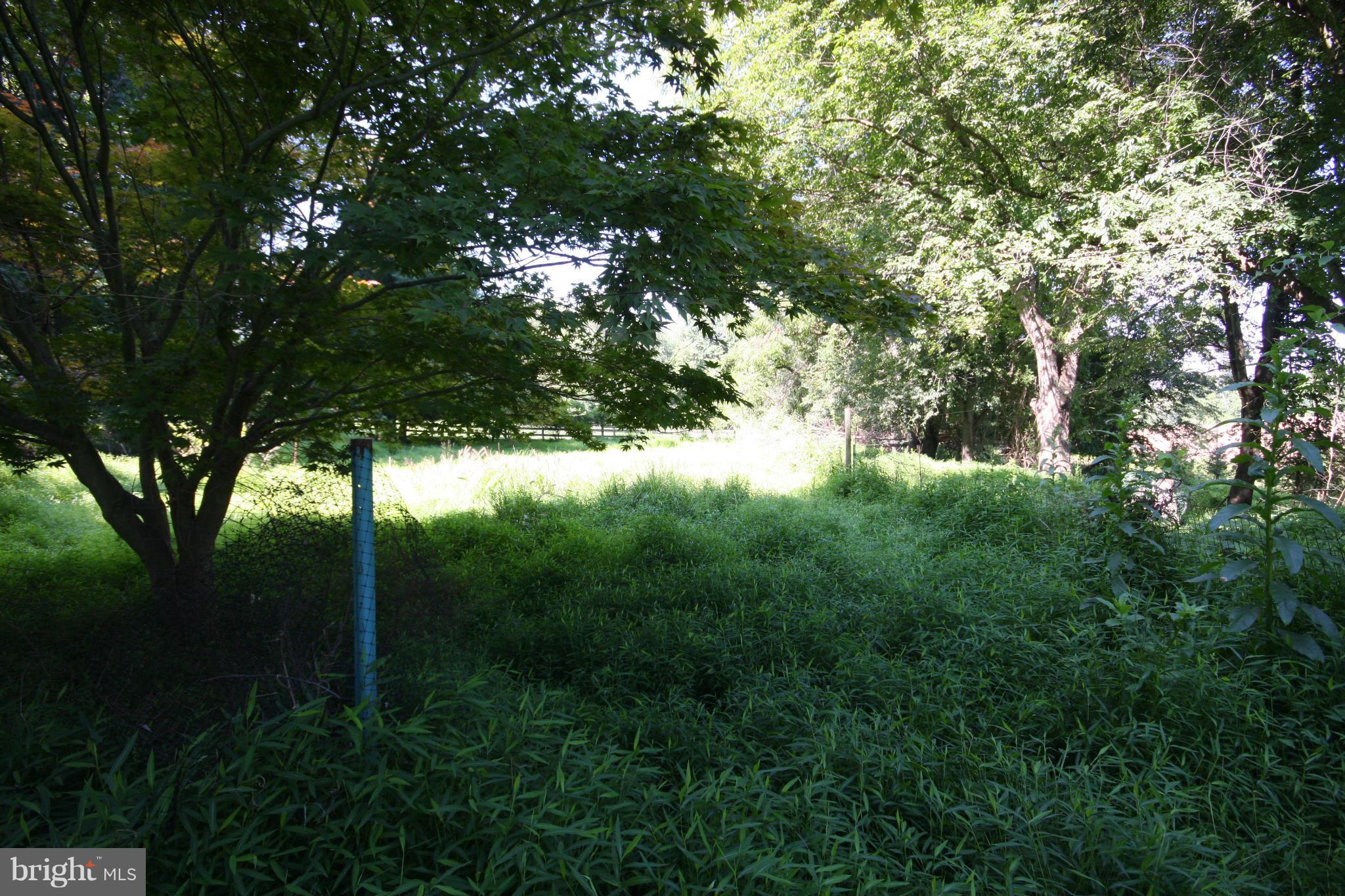 14014 Notley Road Silver Spring, MD 20904 - Photo 27 of 30