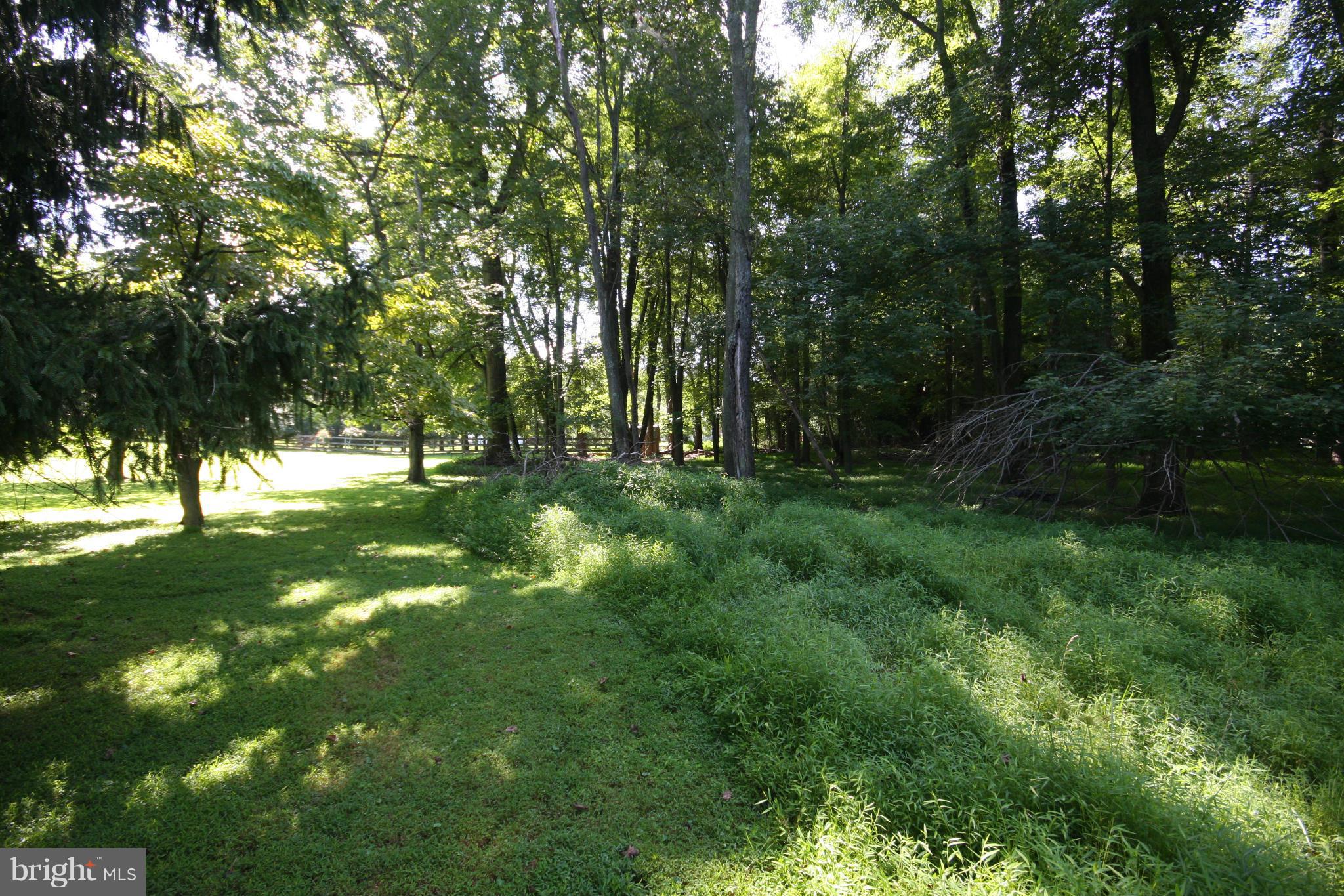 14014 Notley Road Silver Spring, MD 20904 - Photo 28 of 30 a big yard with lots of green space and deers