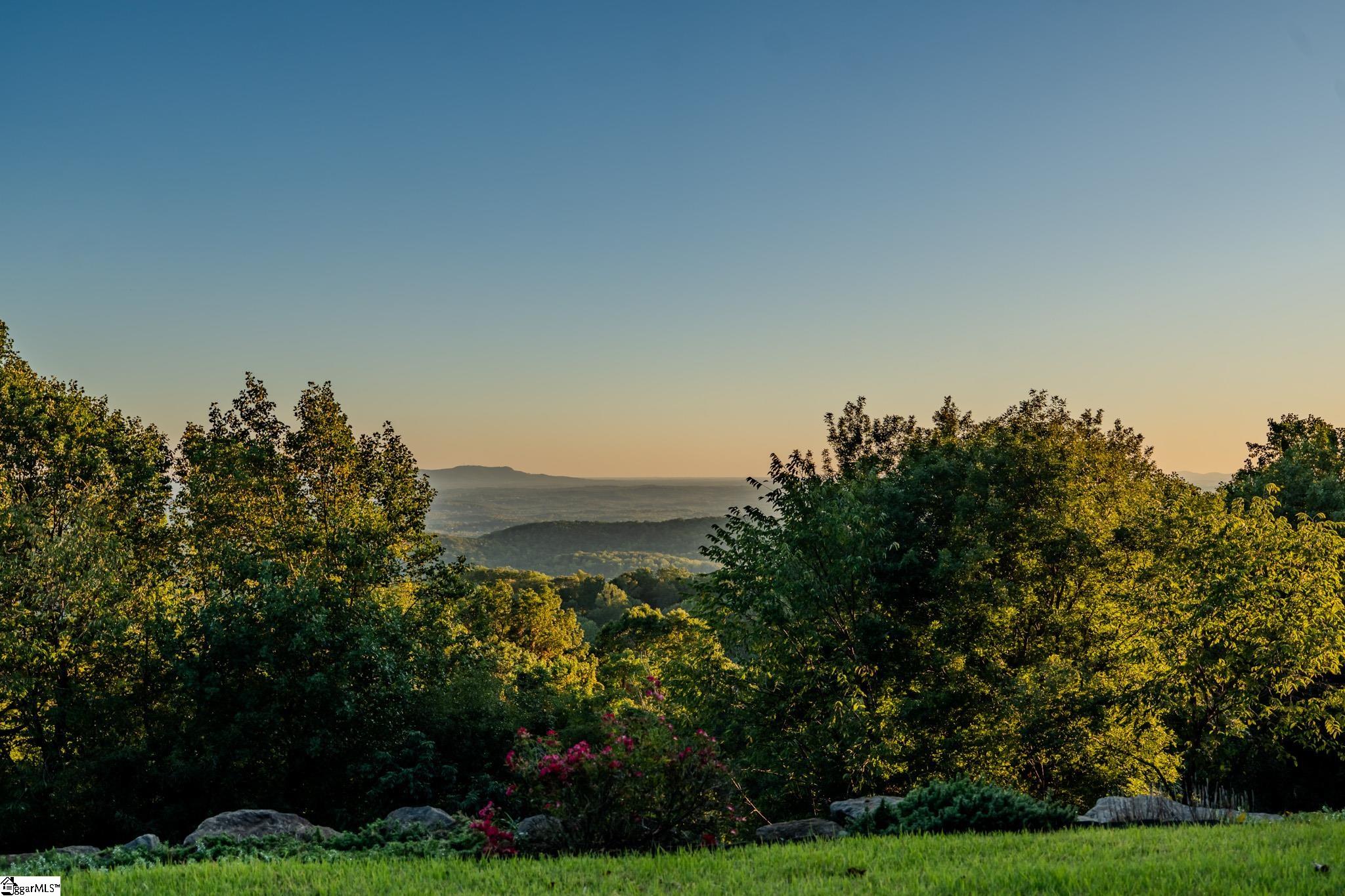 10 Night Hawk Way Landrum, SC 29356 - Photo 2 of 50
