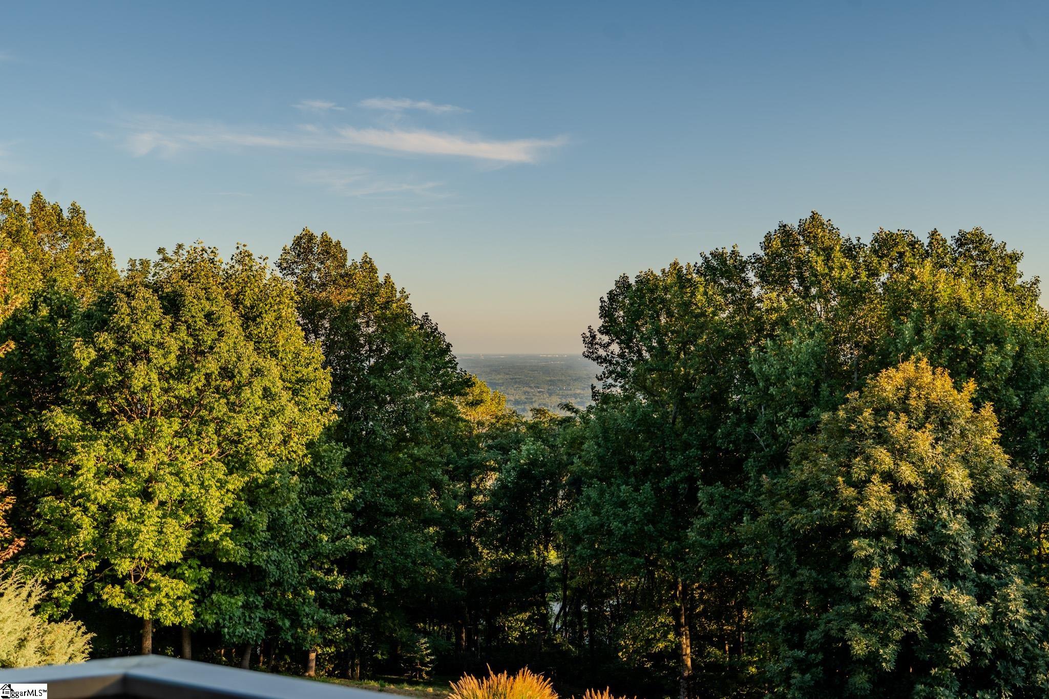 10 Night Hawk Way Landrum, SC 29356 - Photo 3 of 50