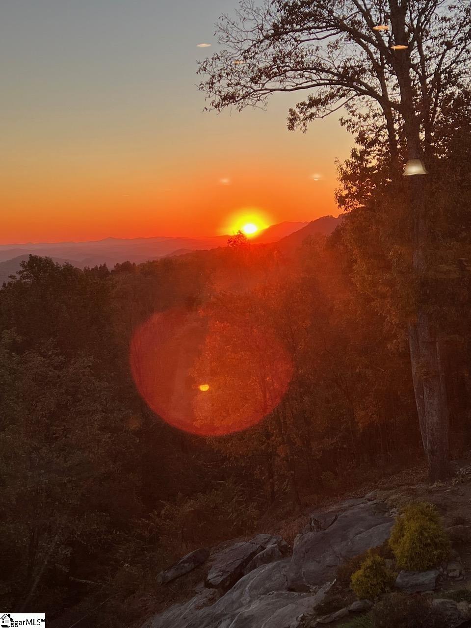 10 Night Hawk Way Landrum, SC 29356 - Photo 50 of 50