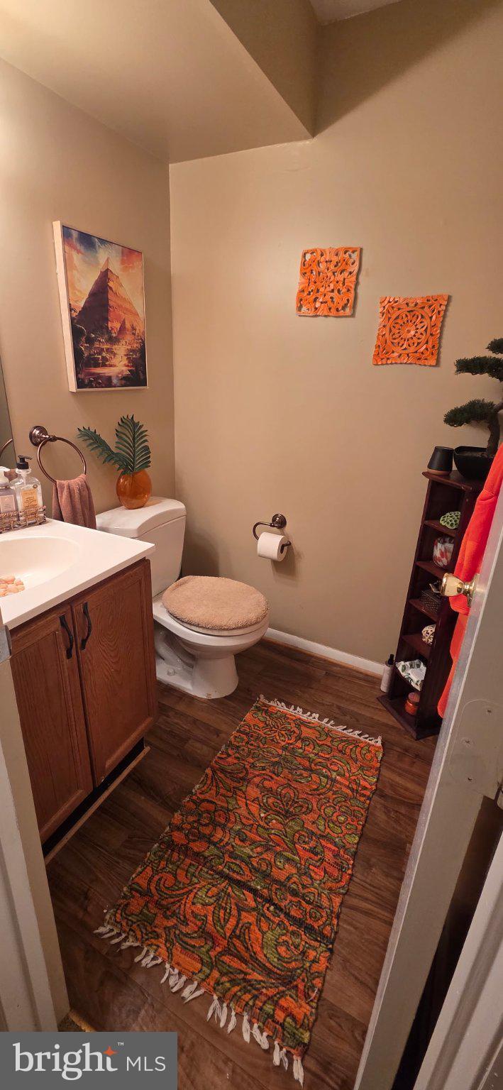 102 Jason's Ridge Smithsburg, MD 21783 - Photo 19 of 31 Charming bathroom with vibrant decor.