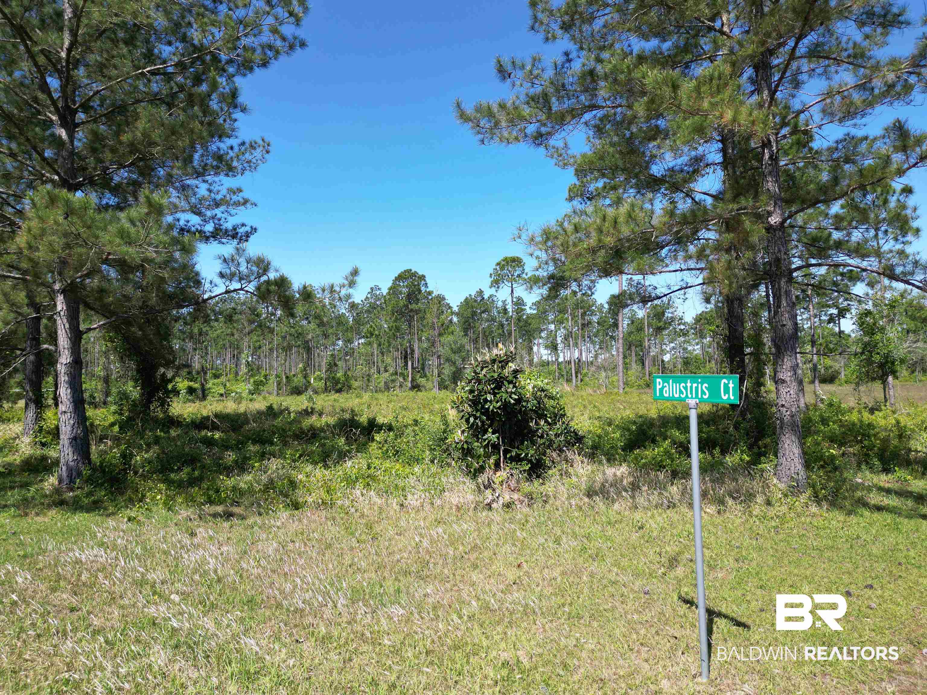 0 Palustris Court Elberta, AL 36530 - Photo 1 of 5