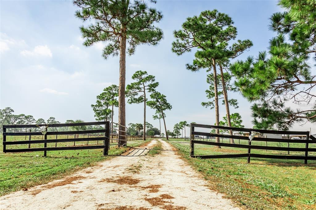 1075 Southwest Rucks Dairy Road Okeechobee, FL 34974 - Photo 40 of 65 a view of a bench in a garden