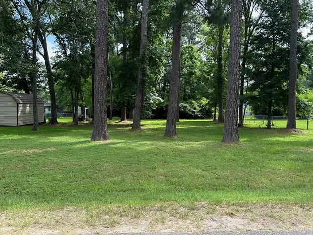 a view of park with trees