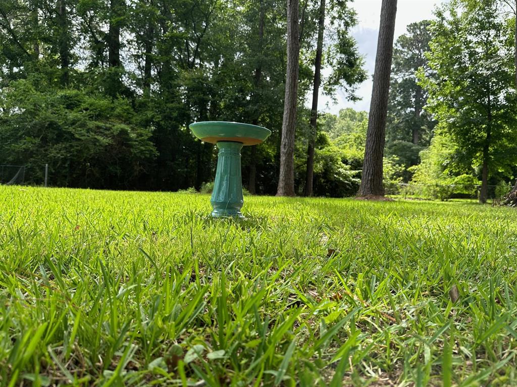 6371 Buncombe Road Shreveport, LA 71129 - Photo 7 of 17 a view of a garden with plants