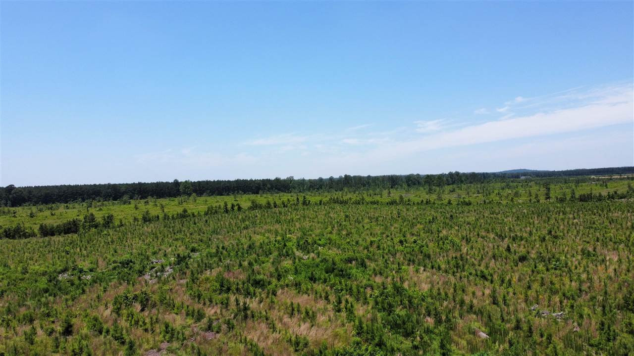 513 Stump Ridge Road, Unit 13 Brandon, MS 39047 - Photo 11 of 17 Photo 12