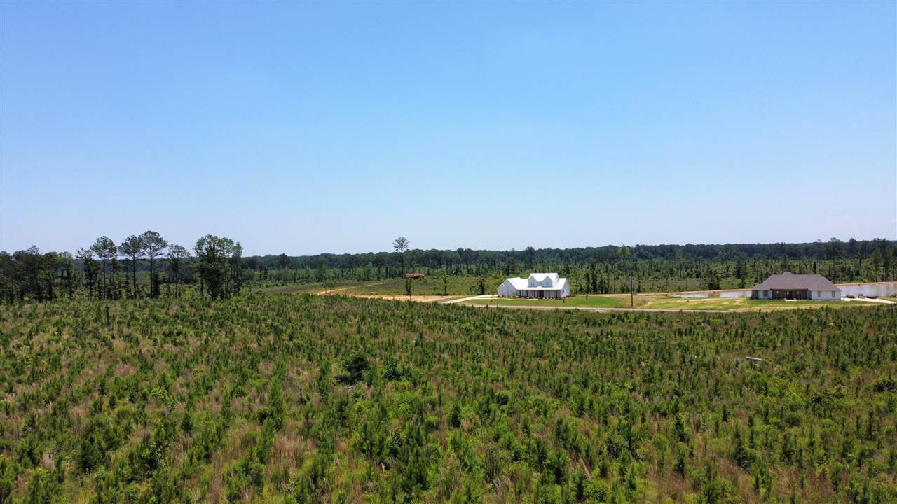 513 Stump Ridge Road, Unit 13 Brandon, MS 39047 - Photo 12 of 17 Photo 13
