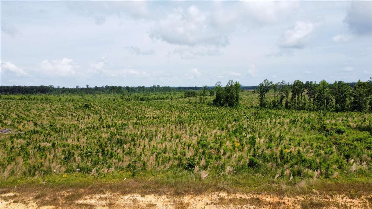 513 Stump Ridge Road, Unit 13 Brandon, MS 39047 - Photo 3 of 17 Photo 3