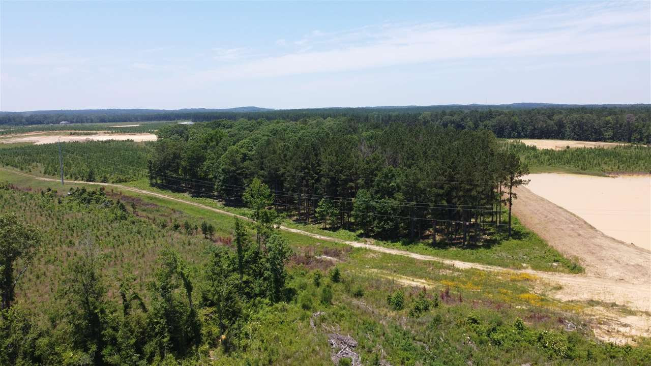 513 Stump Ridge Road, Unit 13 Brandon, MS 39047 - Photo 8 of 17 Photo 9