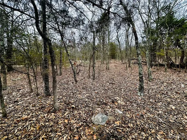 $110,000 | 1920 Lake Forest Drive, Park Hills, MO 63601