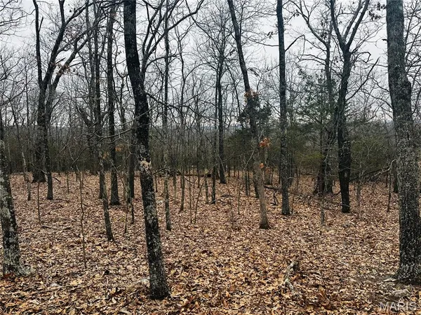 $110,000 | 1920 Lake Forest Drive, Park Hills, MO 63601