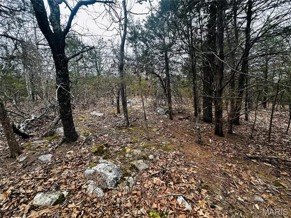 $110,000 | 1920 Lake Forest Drive, Park Hills, MO 63601