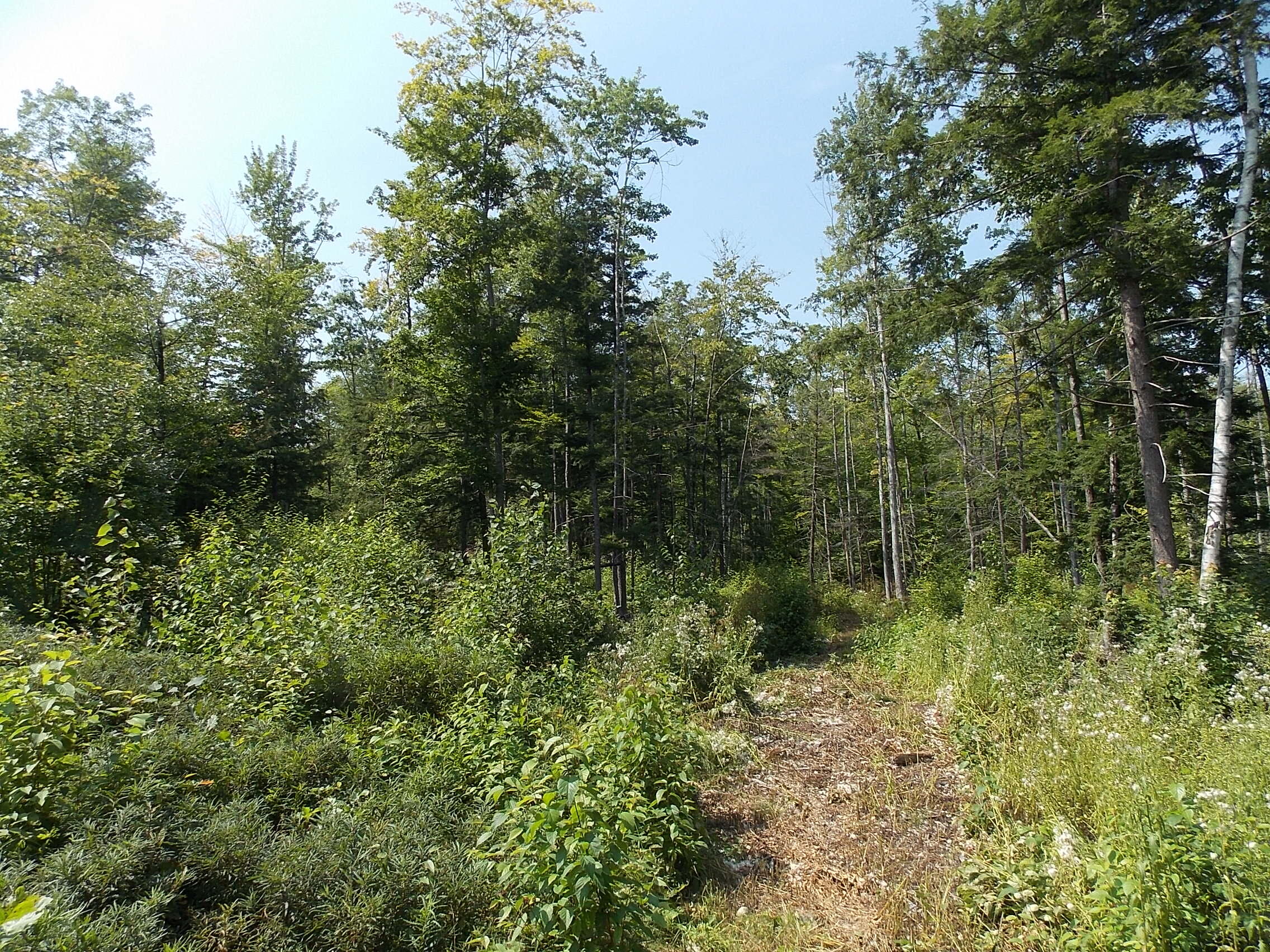 0 Walnut Brook Road Sanford, ME 04073 - Photo 11 of 19 DSCN9524