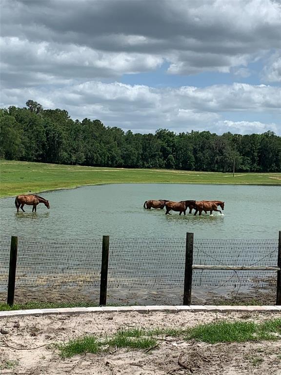 2002 Southwest 44th Lane Ocala, FL 34471 - Photo 4 of 17