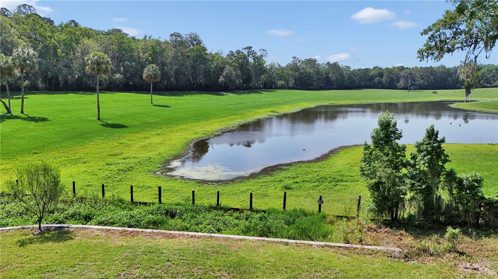 2002 Southwest 44th Lane Ocala, FL 34471 - Photo 6 of 17