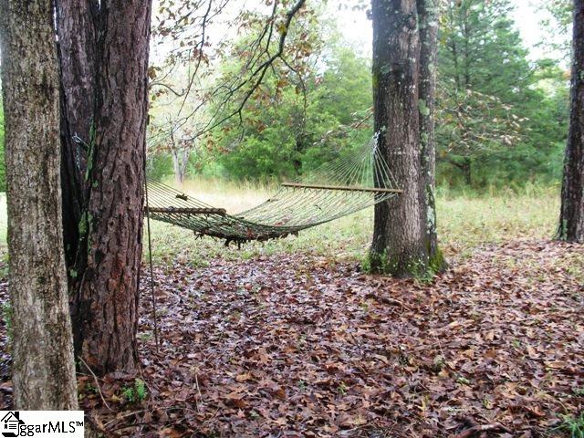 246 Newton Road Seneca, SC 29678 - Photo 30 of 34 Gallery Image 30