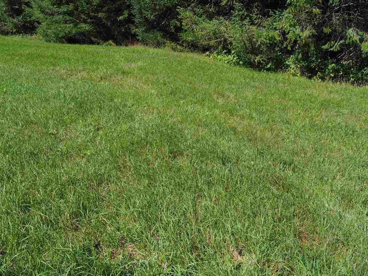 4106 Waug Road Benzonia, MI 49616 - Photo 21 of 30