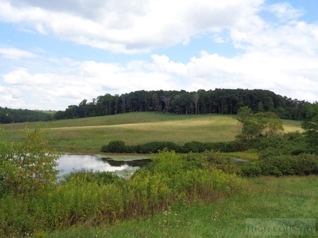 183 Ridgeview Road Piney Creek, NC 28663 - Photo 11 of 24 Gallery Image 11