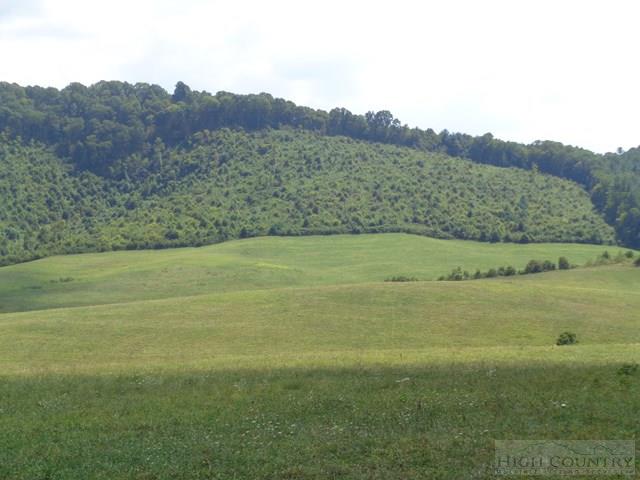 183 Ridgeview Road Piney Creek, NC 28663 - Photo 18 of 24 Gallery Image 18