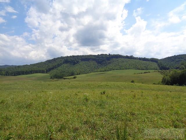183 Ridgeview Road Piney Creek, NC 28663 - Photo 20 of 24 Gallery Image 20