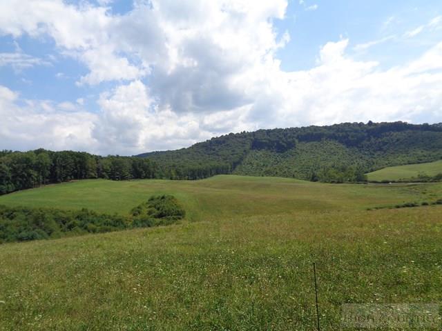 183 Ridgeview Road Piney Creek, NC 28663 - Photo 22 of 24 Gallery Image 22