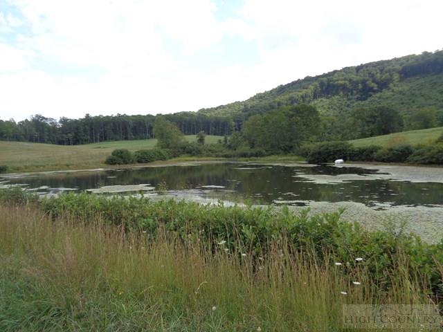 183 Ridgeview Road Piney Creek, NC 28663 - Photo 5 of 24 Gallery Image 5