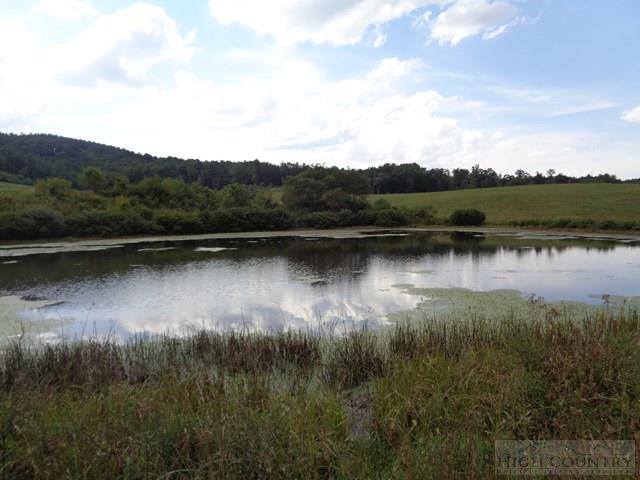 183 Ridgeview Road Piney Creek, NC 28663 - Photo 7 of 24 Gallery Image 7