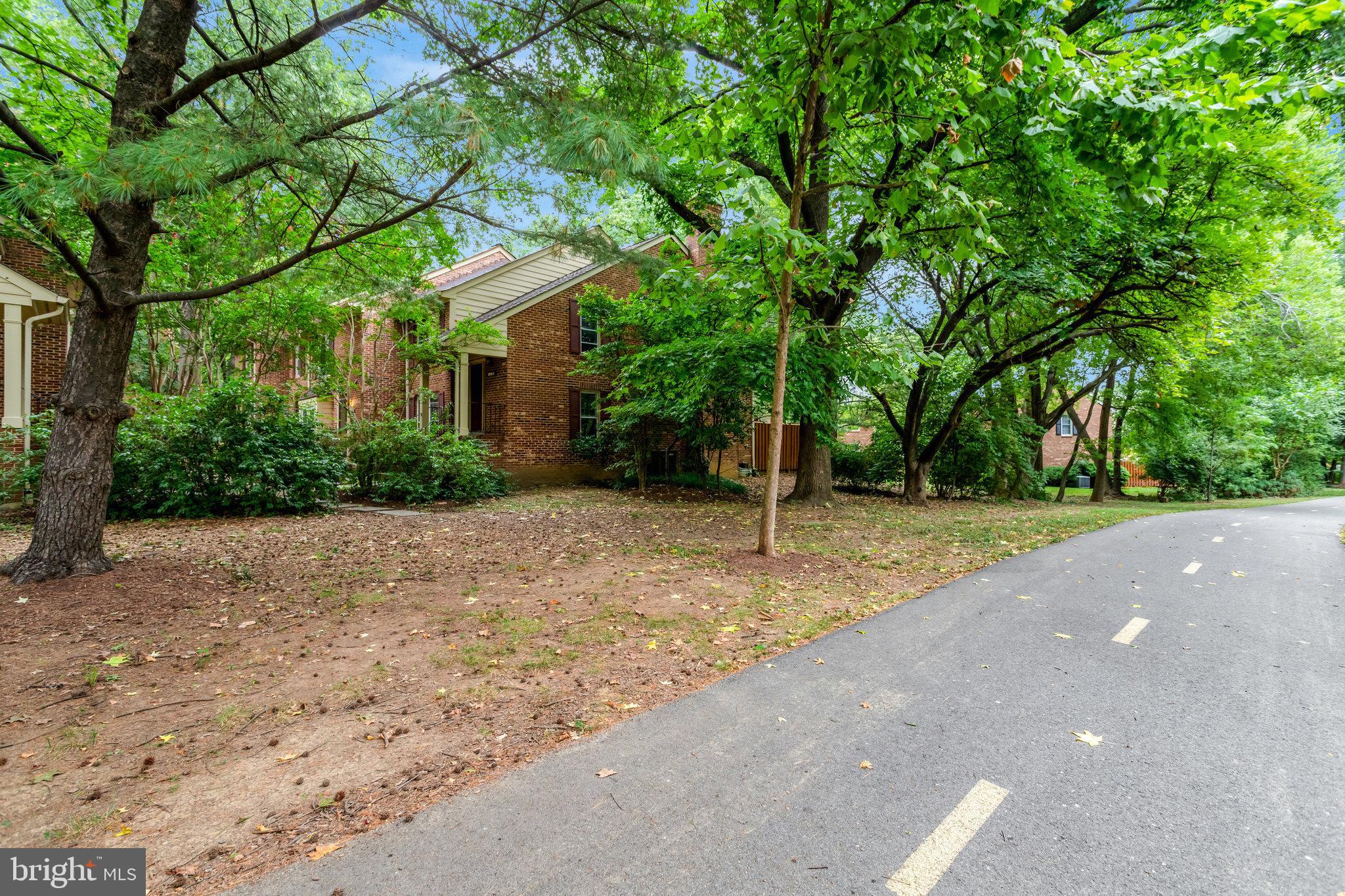 2540 South Walter Reed Drive, Unit 4 Arlington, VA 22206 - Photo 4 of 40 a backyard of a house with a tree