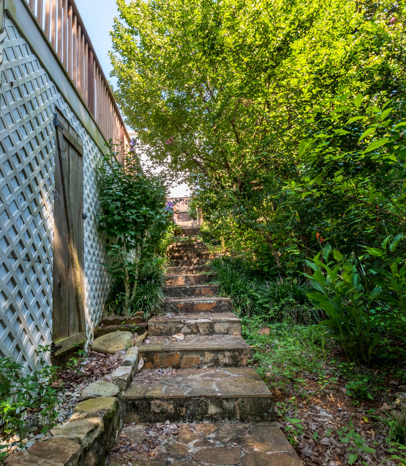 202 Ridge Avenue Chattanooga, TN 37404 - Photo 43 of 61 20170725-_DSC8654