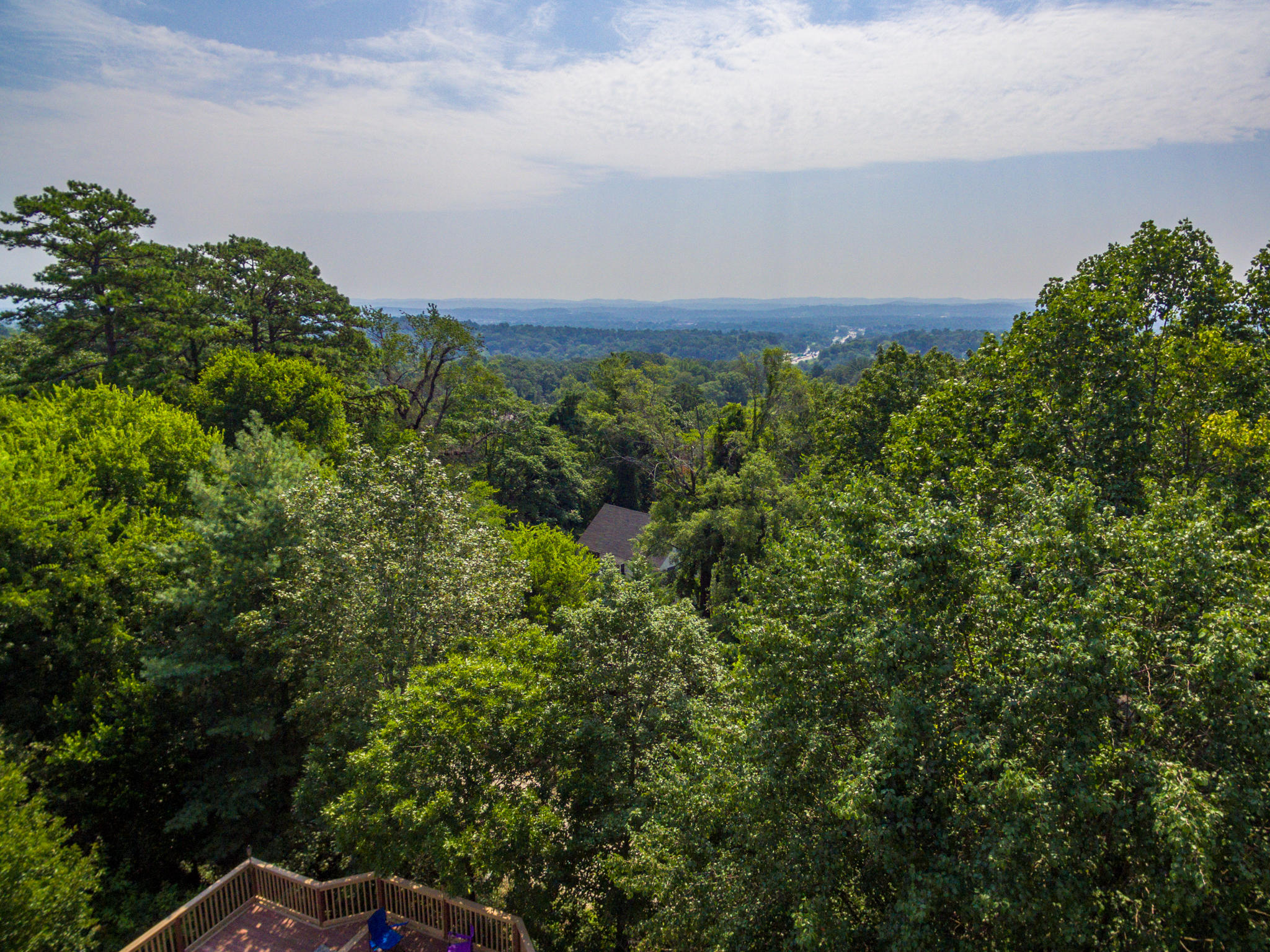 202 Ridge Avenue Chattanooga, TN 37404 - Photo 49 of 61 20170726-DJI_0093