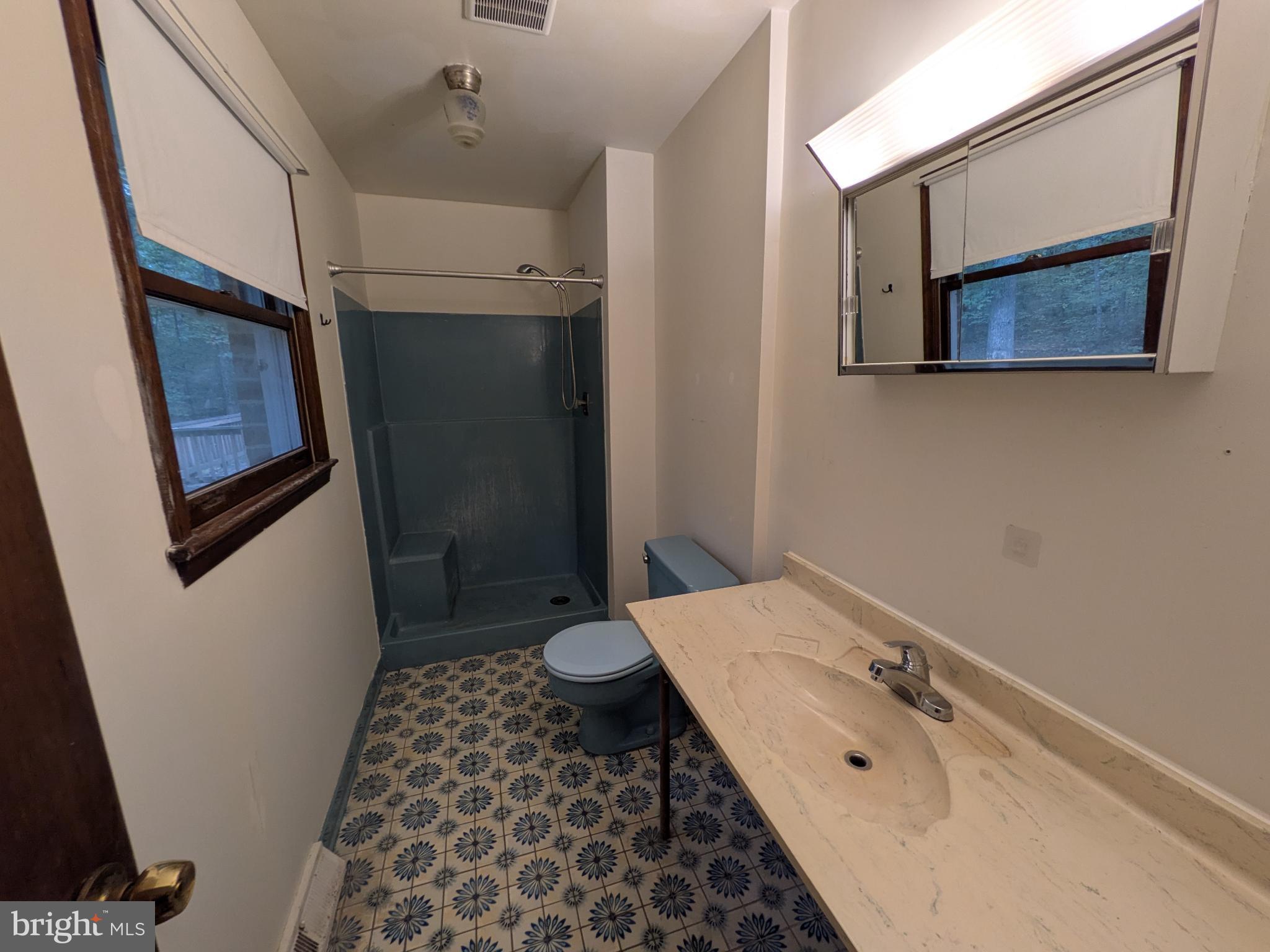 9511 Rogues Road Midland, VA 22728 - Photo 17 of 34 Bright and airy bathroom with vintage tiles.