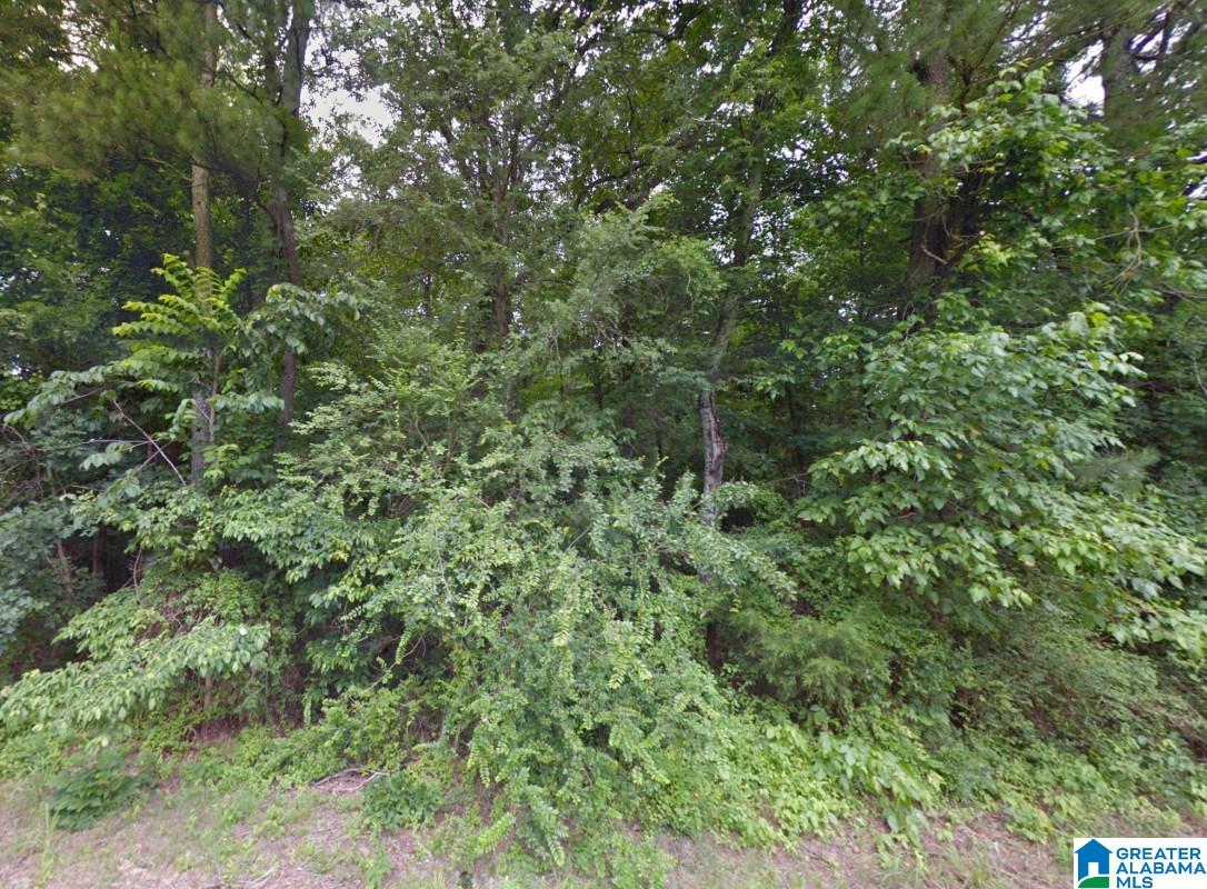 0 Bron Holmes Road Falkville, AL 35622 - Photo 7 of 14